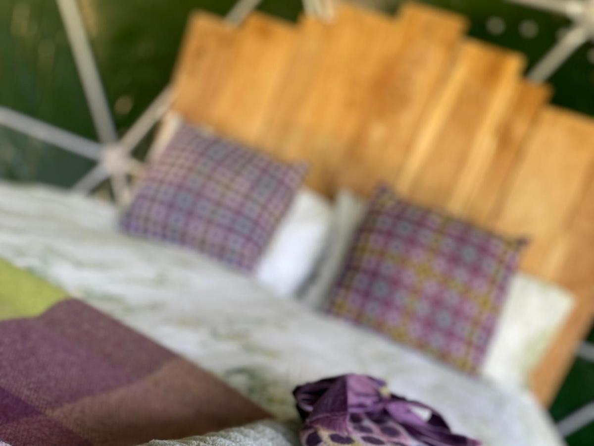 Geodesic Dome Glamping Hotel Llanidloes Exterior photo